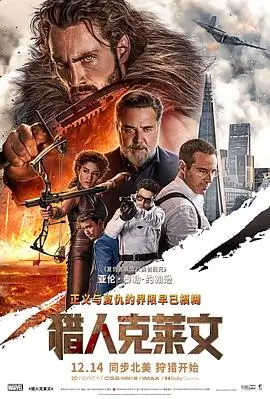 槐花巷十七号 文艺剧情电影封面